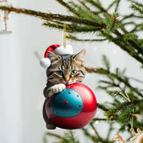 🎅Early Christmas Free Shipping🎁- Cute Cat Christmas Ornaments