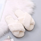 Plush Faux Fur Winter Slippers