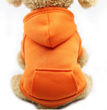 Winter Dog Hoodie