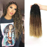 Passion Twist Hair Extensions